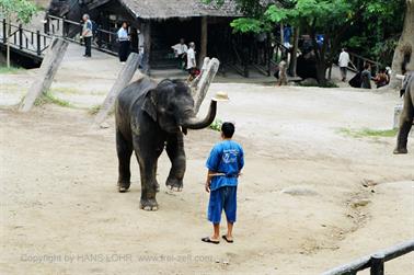 Round trip North Thailand, 2003_1280_08_478